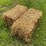 50-bales-of-good-clean-wheat-straw-small-square-45-50#-bales-image-3