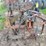 white-6-bottom-moldboard-plow-image-9