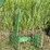 john-deere-tractor-steps-image-1