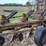 white-6-bottom-moldboard-plow-image-25