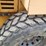stone-rhino-roller-image-26
