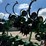 1998-john-deere-856-image-19