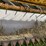 new-holland-488-image-17