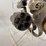 #72-•-charter-arms-undercover-38-special-revolver-107614-image-16