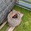 red-brand-woven-wire-and-barb-wire-fence-rolls-image-3