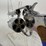 #86-•-smith-&-wesson-j-frame-38cal-revolver-23322-image-20