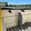 #8760-•-accubrine-brine-maker-with-tank,-valves-and-electric-motor-image-6