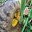 john-deere-2840-image-23