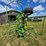 2015-krone-kw5.52/4x7t-image-7