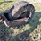 woods-bb72-image-4