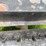 16’-tandem-axle-trailer-with-ramps-(-no-title)-image-19