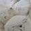 poly-coned-bottom-tank-image-13