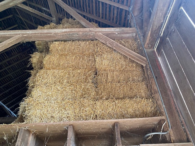 50-bales-of-good-clean-wheat-straw-small-square-45-50#-bales-image-4