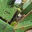 john-deere-2840-image-44