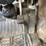 1994-ford-lnt8000-image-20