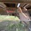 anu-truss-extendable-trailer-image-9