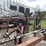 m&w-10-wheel-image-24
