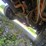 2017-ford-f550-image-58