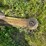 claas-rollant-66-image-36