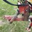 new-holland-790-image-14