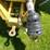 new-holland-d1000-image-10
