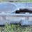 small-rubbermaid-stock-tank-image-1