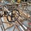 #6196-•-willys-jeep-rat-rod-project-car-image-19