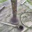 antique-water-pump*buyer-is-responsible-for-removal*-image-5