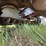 2015-precision-truss-extendable-trailer-image-9
