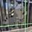 #679-•-1-pair-of-new-sdlanch-bi-parting-driveway-gates-image-2