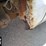 2015-ford-f250-image-34