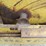 reynolds-14c-image-22