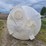 poly-coned-bottom-tank-image-4