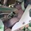 2004-john-deere-6420-image-61