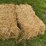50-bales-of-good-clean-wheat-straw-small-square-45-50#-bales-image-1