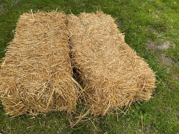 50-bales-of-good-clean-wheat-straw-small-square-45-50#-bales-image-1