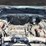 2012-ford-escape-xlt-image-28