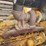 caterpillar-we-851b-image-25