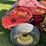 new-holland-790-image-19