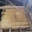 50-bales-of-good-clean-wheat-straw-small-square-45-50#-bales-image-5