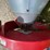 dmc-grain-distibutor-image-6