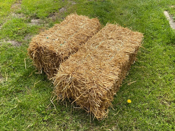50-bales-of-good-clean-wheat-straw-small-square-45-50#-bales-image-3