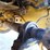 2018-caterpillar-924k-image-46