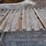 2005-extec-c12-image-22