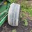 summers-rock-picker-image-6