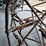 #6196-•-willys-jeep-rat-rod-project-car-image-14