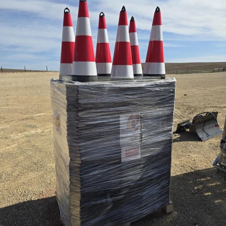 #666 • (250) TRAFFIC SAFETY CONES