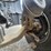 2016-peterbilt-389-image-48