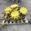 john-deere-fm-image-8