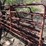 #1037-•-factory-manufactured-gates-image-6